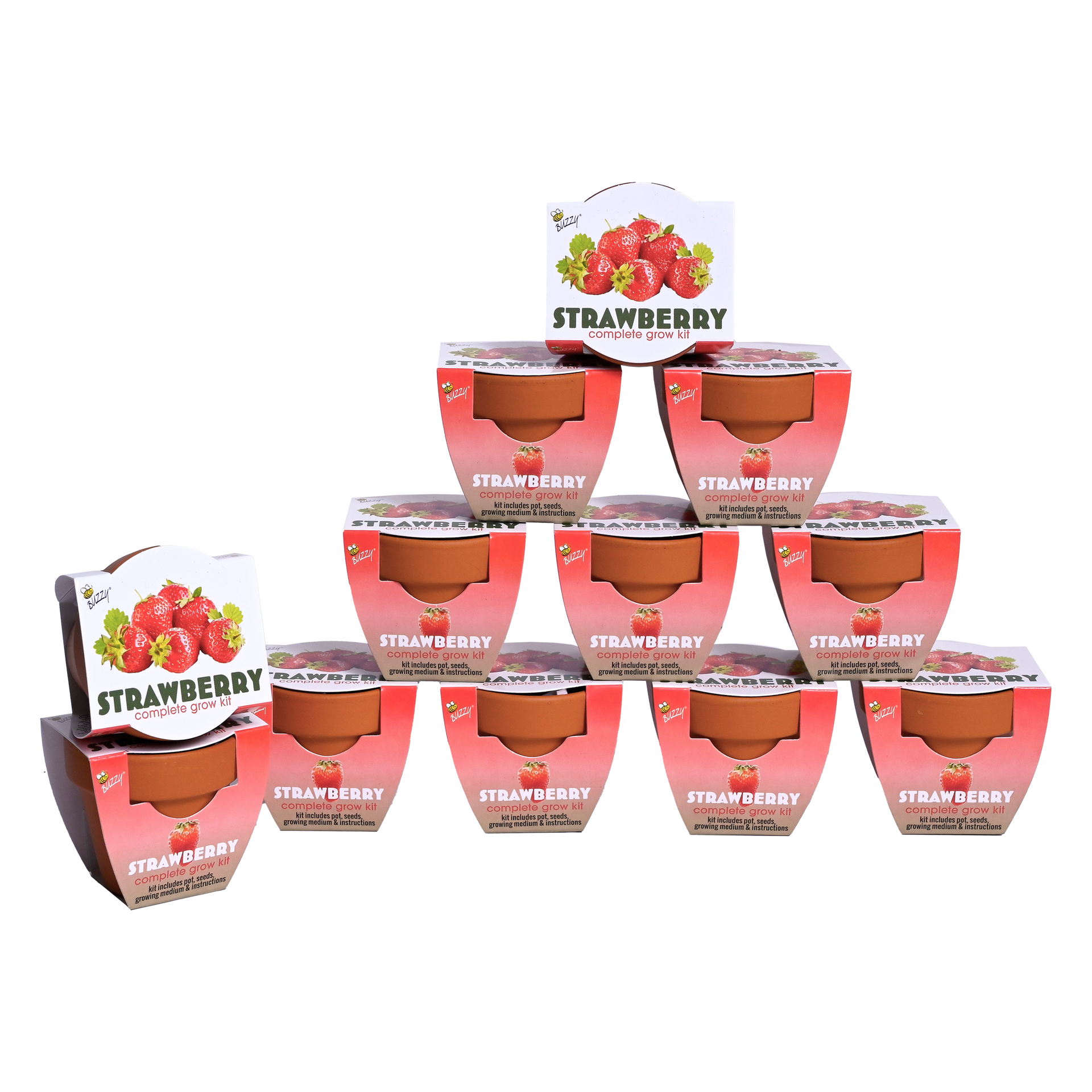 Classic Mini Terracotta Kit | Strawberry 12-pack | Buzzy Seeds