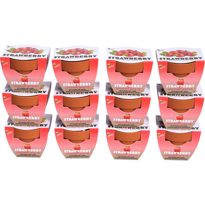 Classic Mini Terracotta Grow Kit | Strawberry 12-pack