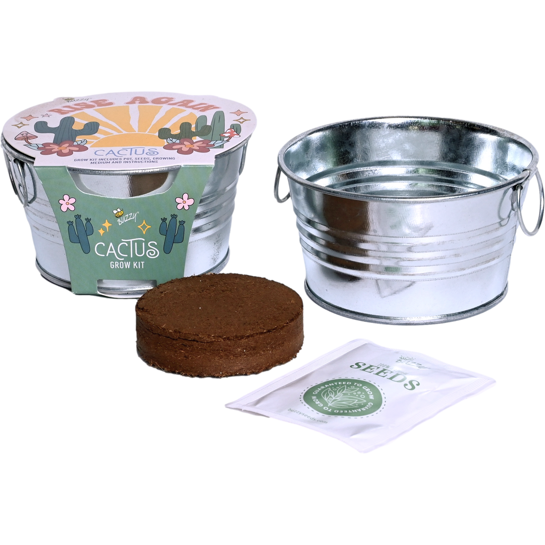 Cactus Kids Mini Painted Basin Cactus Kids Mini Painted Basin