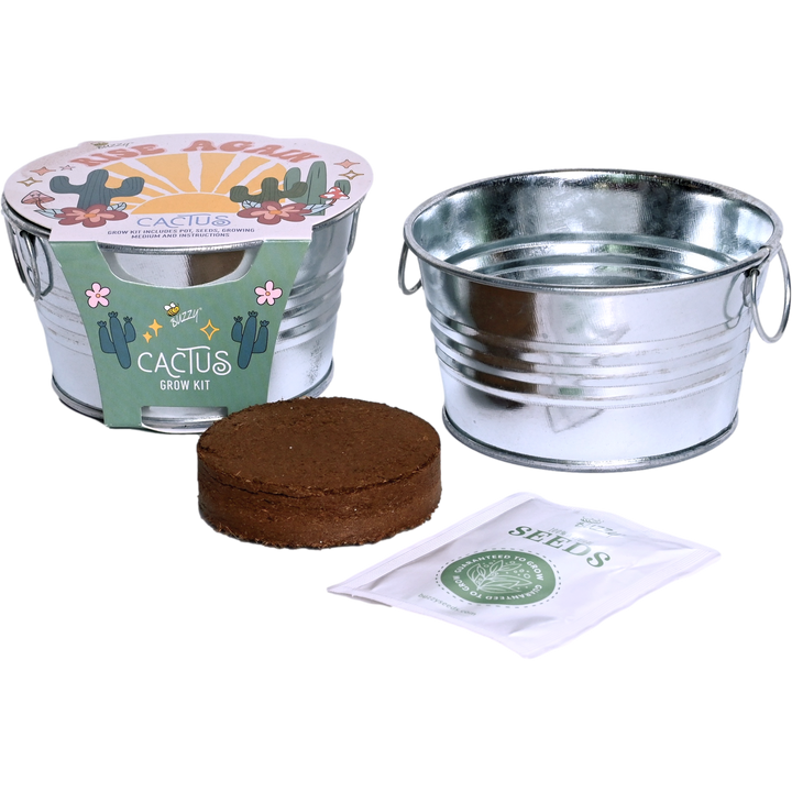 Cactus Kids Mini Painted Basin Cactus Kids Mini Painted Basin