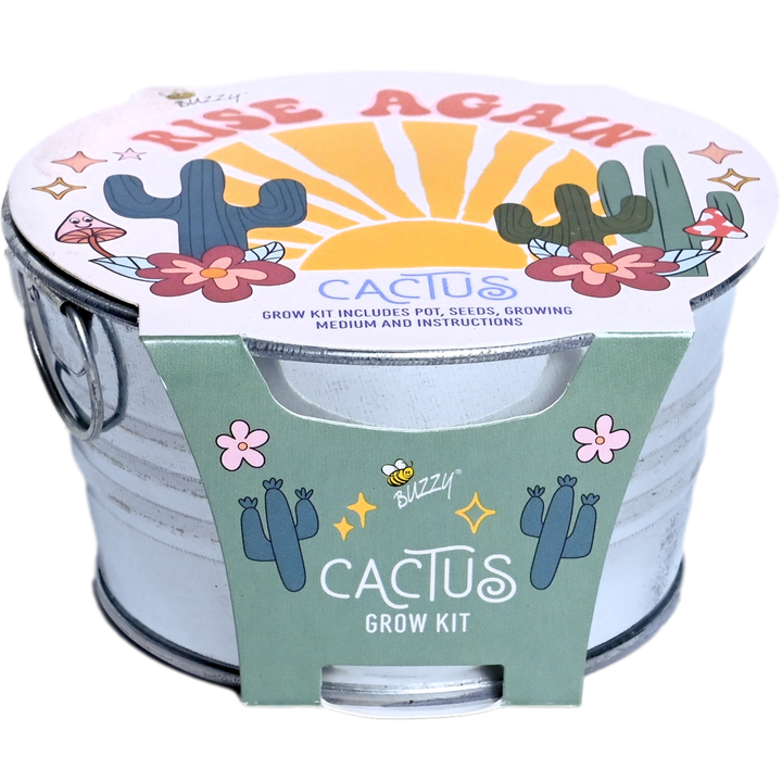 Cactus Kids Mini Painted Basin Cactus Kids Mini Painted Basin