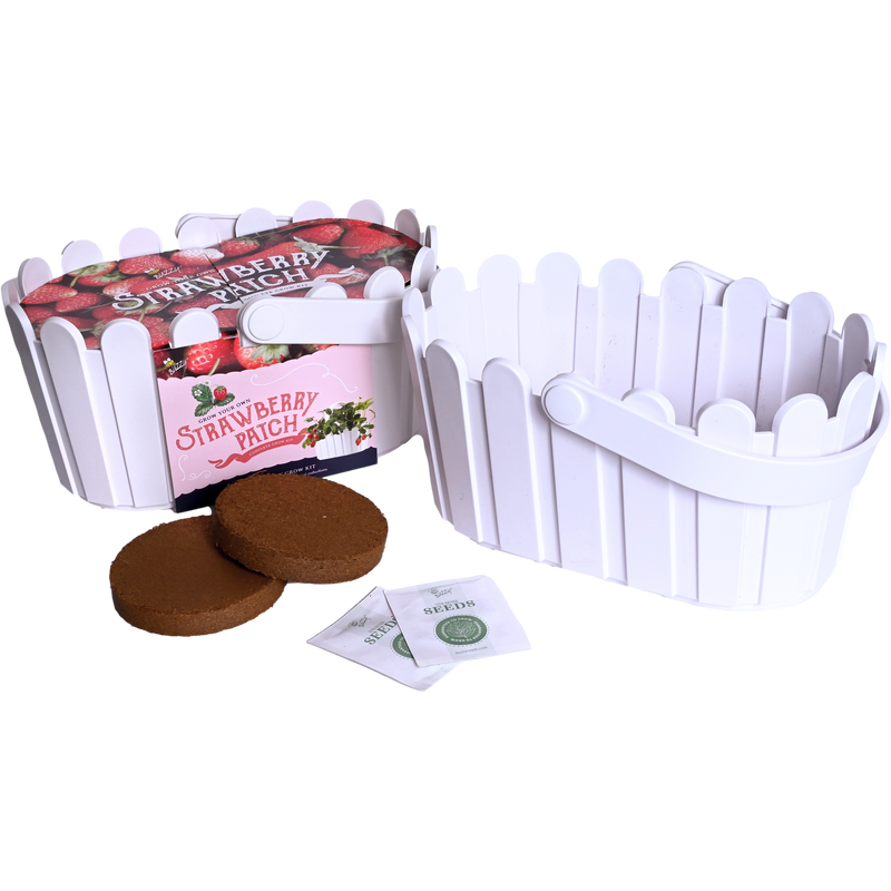 Strawberry Basket Grow Kit | White