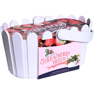 Strawberry Basket Grow Kit | White