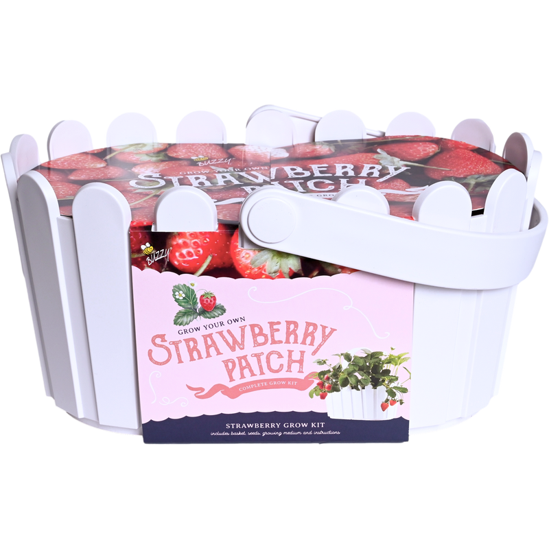 Strawberry Basket Grow Kit | White