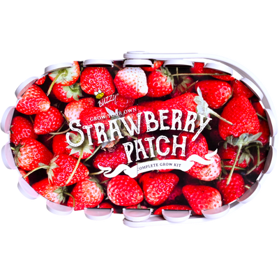 Strawberry Basket Grow Kit | White