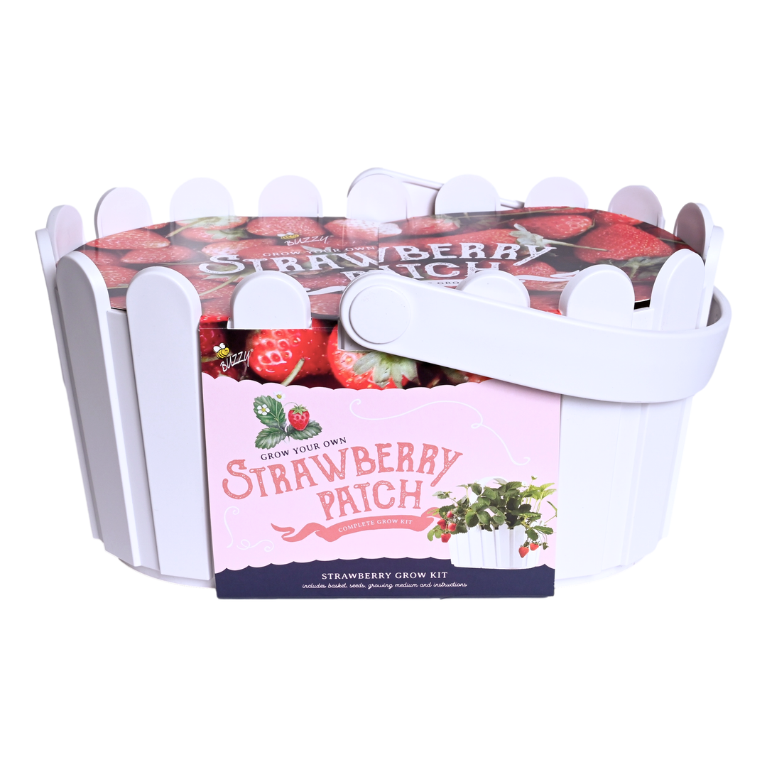 Strawberry Basket Grow Kit | White