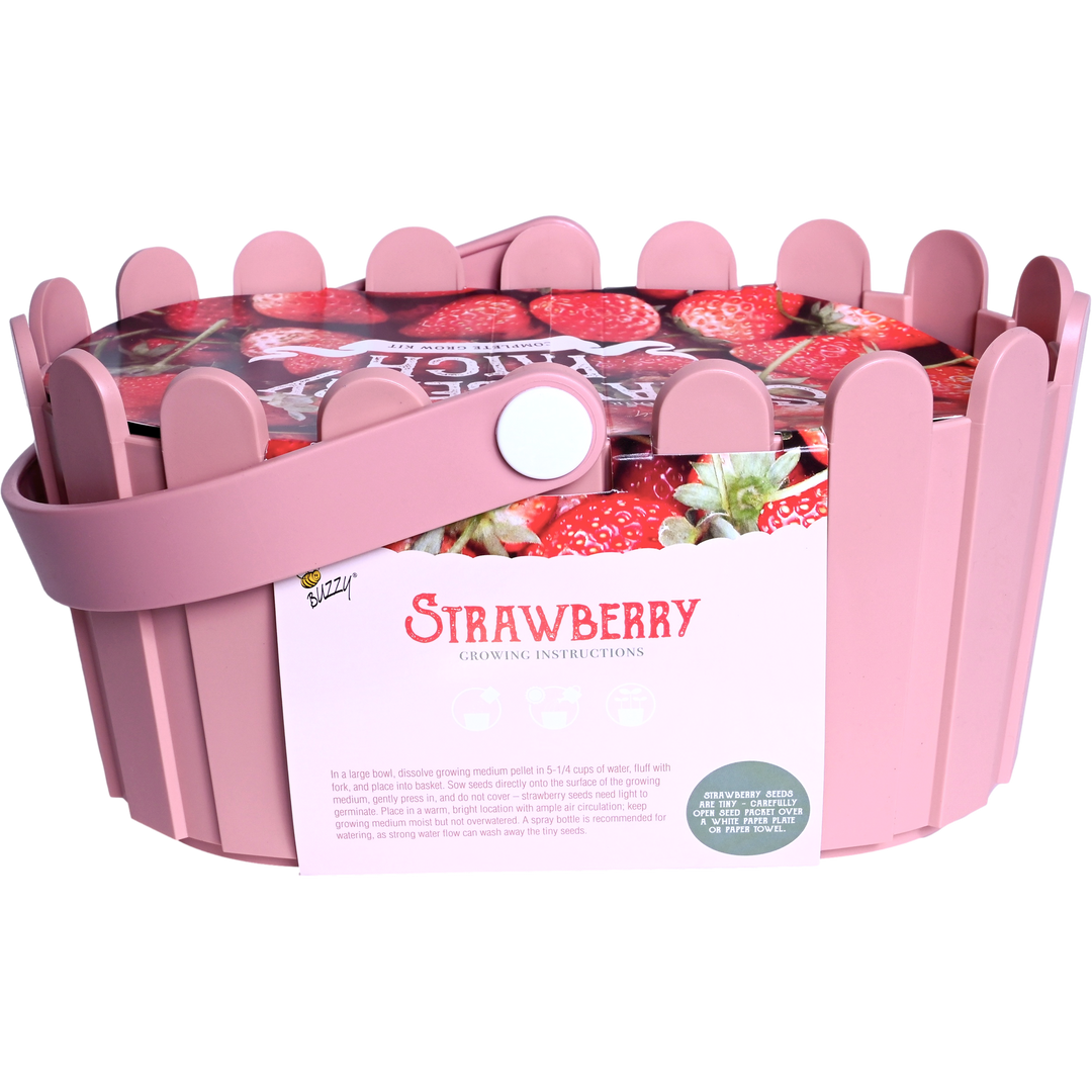 germinating strawberry seeds in paper towel Strawberry Grow Kit in Pink Basket Planter – Buzzy Seeds