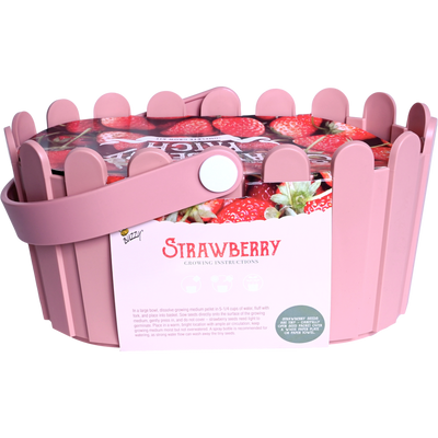 Strawberry Basket Grow Kit | Pink