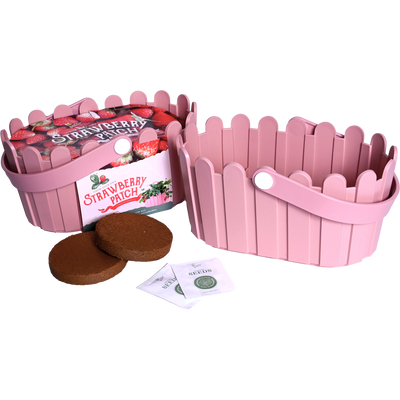 Strawberry Basket Grow Kit | Pink