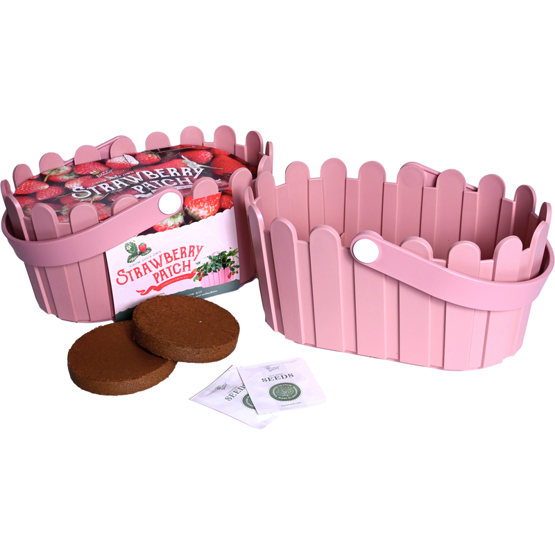 Strawberry Basket Grow Kit | Pink