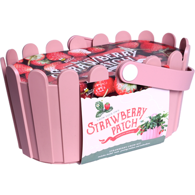 Strawberry Basket Grow Kit | Pink