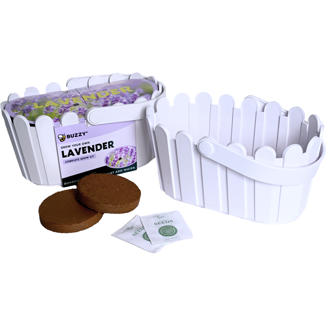 Lavender Basket Grow Kit | White