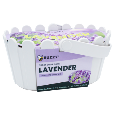 Lavender Basket Grow Kit | White