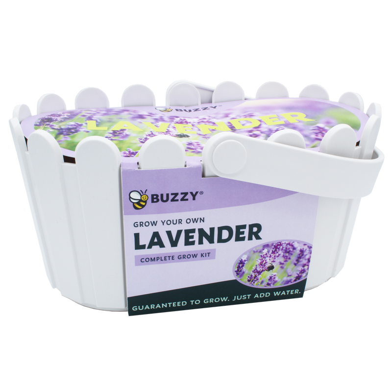 Lavender Basket Grow Kit | White