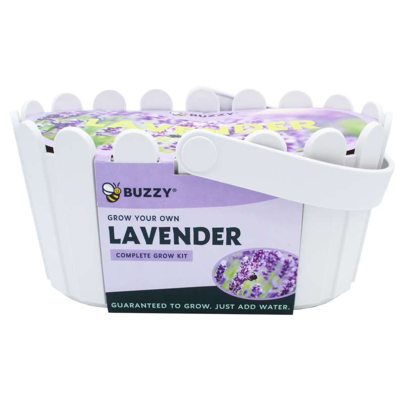 Lavender Basket Grow Kit | White