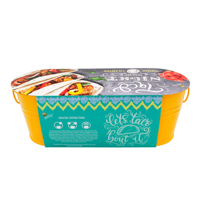 Taco Night Windowsill Grow Kit | Tomato & Cilantro | Yellow