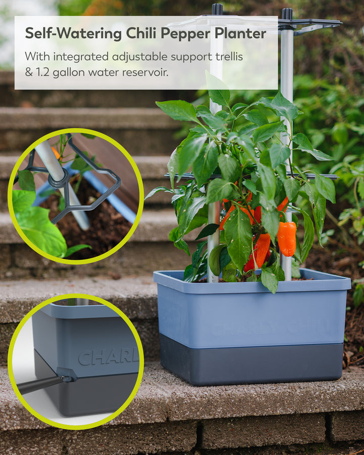 Self-Watering Chili Pepper Planter with Trellis | Vertical Garden for Small Spaces