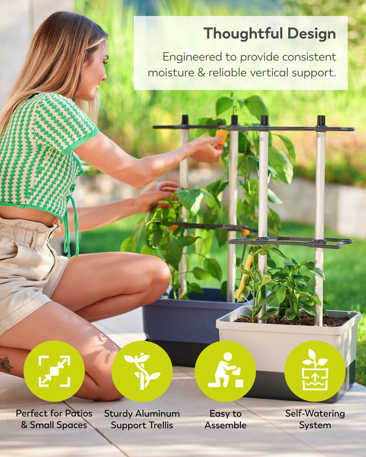 Self-Watering Chili Pepper Planter with Trellis | Vertical Garden for Small Spaces