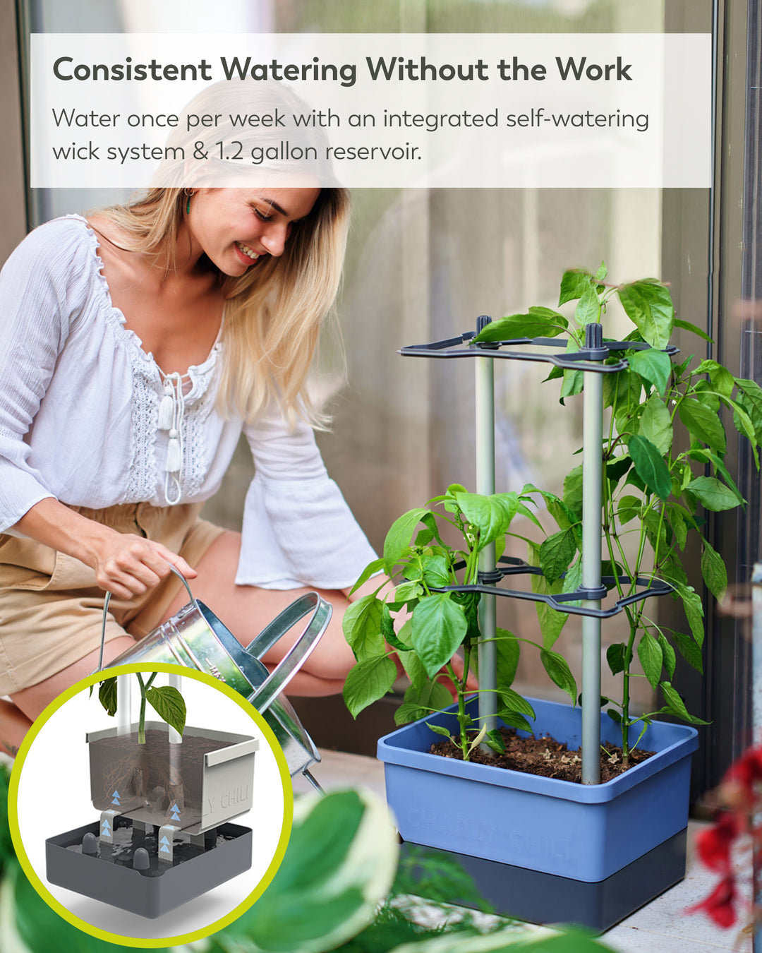 self watering pepper planter Self-Watering Chili Pepper Planter with Trellis – Buzzy Seeds