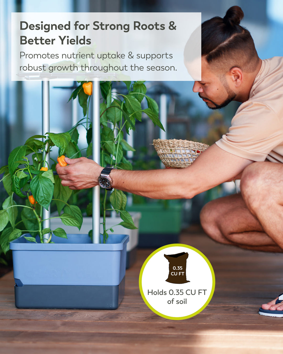 Self-Watering Chili Pepper Planter with Trellis | Vertical Garden for Small Spaces