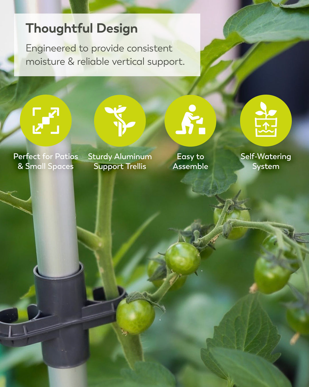 Self-Watering Tomato Planter with Trellis | Vertical Garden for Small Spaces