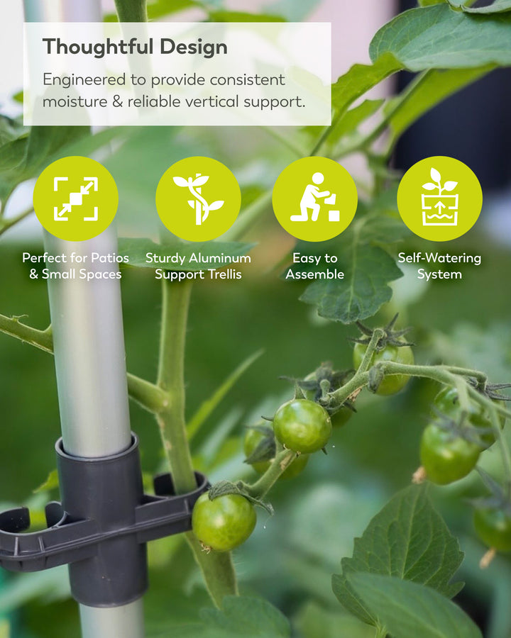 Self-Watering Tomato Planter with Trellis | Vertical Garden for Small Spaces
