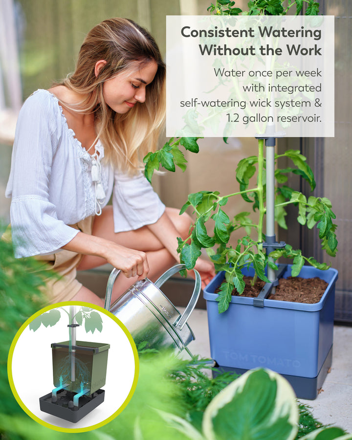 Self-Watering Tomato Planter with Trellis | Vertical Garden for Small Spaces