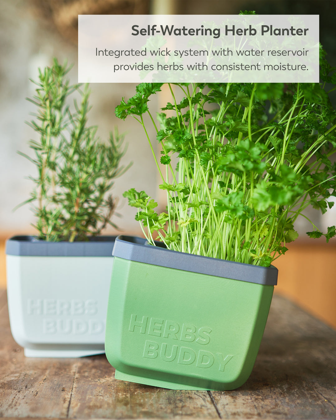 Self-Watering Herb Planter with Tilt Water Indicator for Indoor Growing | 3-Pack