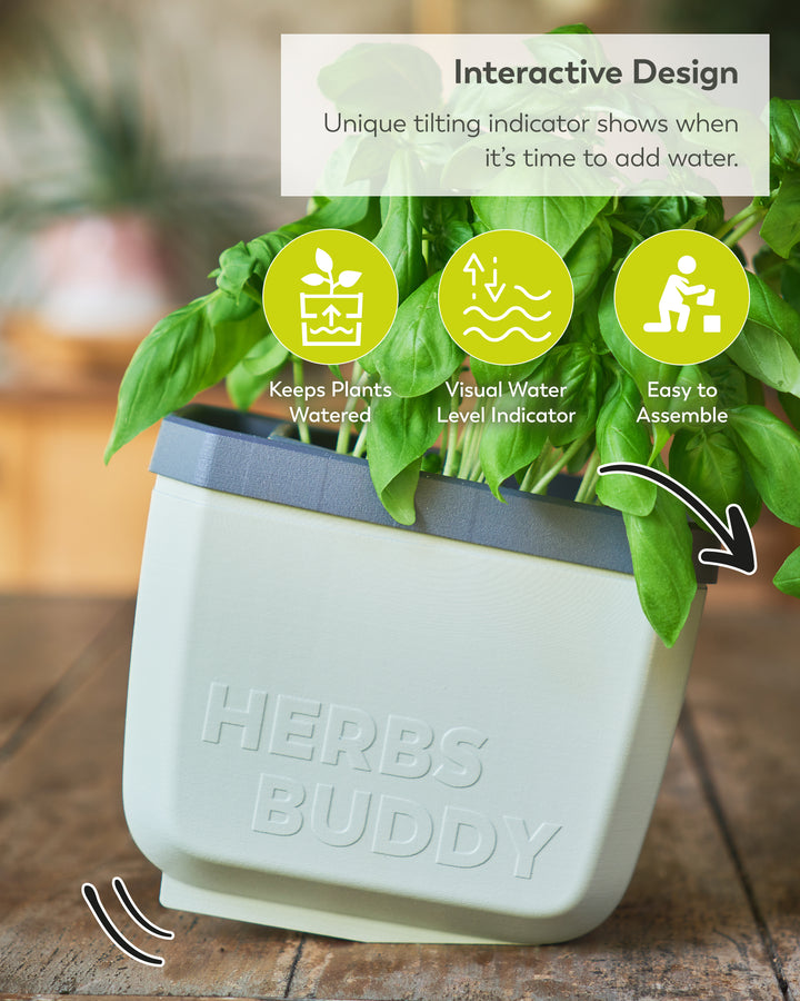 Self-Watering Herb Planter with Tilt Water Indicator for Indoor Growing | 3-Pack