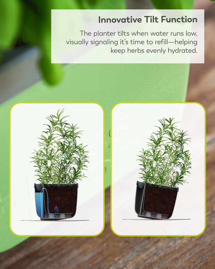 Self-Watering Herb Planter with Tilt Water Indicator for Indoor Growing | 3-Pack
