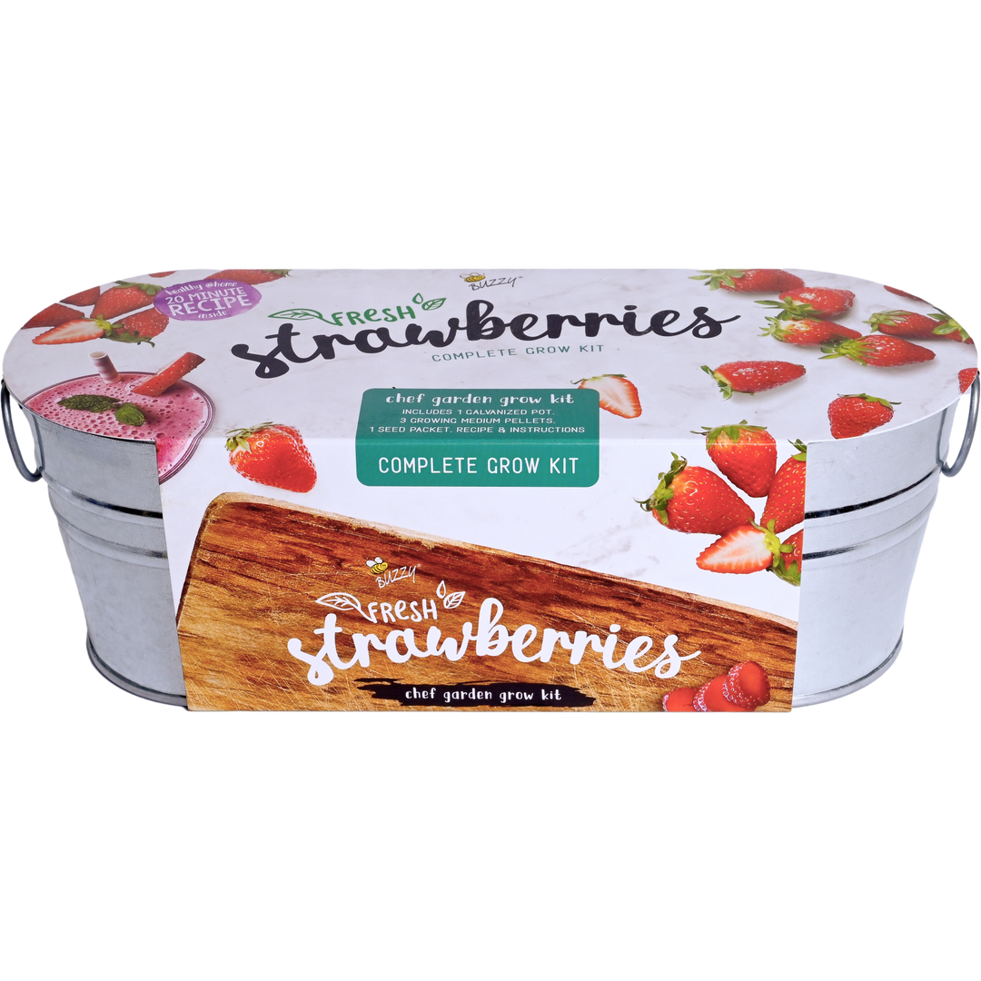Strawberry Garden Windowsill Grow Kit | Alpine Strawberry Strawberry Garden Windowsill Grow Kit | Alpine Strawberry
