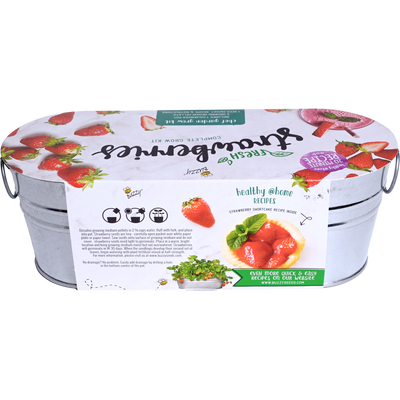 Strawberry Garden Windowsill Grow Kit | Alpine Strawberry