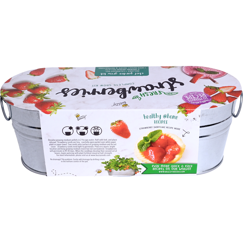 Strawberry Garden Windowsill Grow Kit | Alpine Strawberry