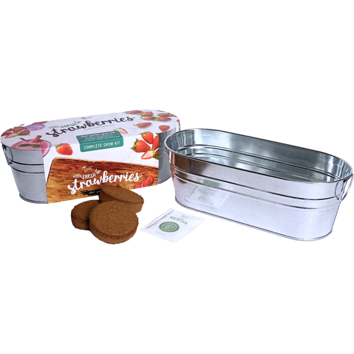 bay area wildflower seed mix Galvanized Strawberry Grow Kit for Windowsill Gardens – Buzzy Seeds