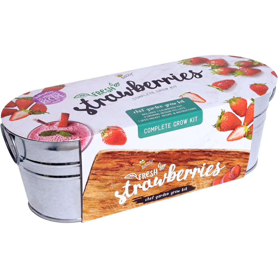 strawberry mint seeds Buzzy