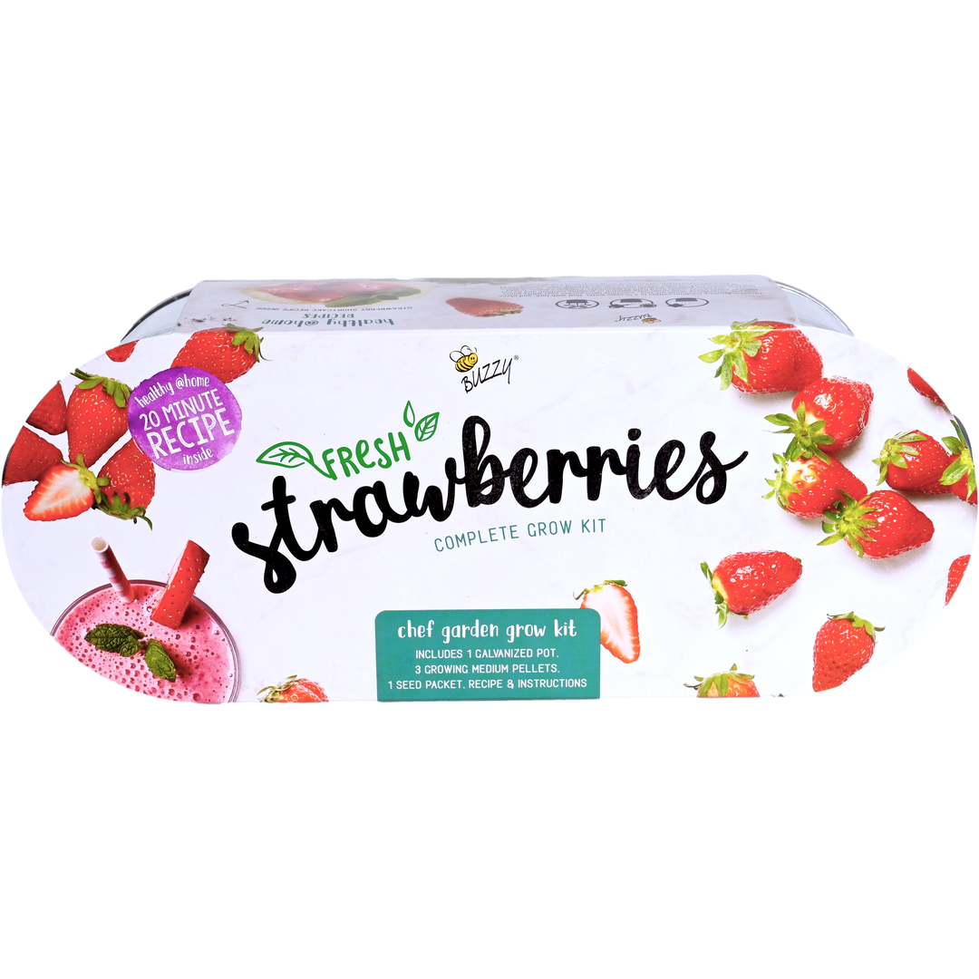 indoor strawberry plant kit Strawberry Grow Kit