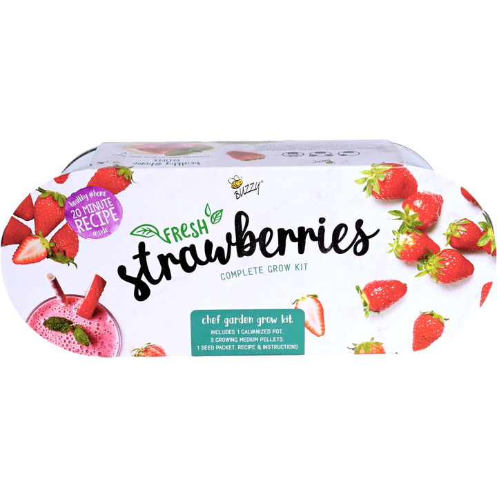 organic strawberry seeds near me Galvanized Strawberry Grow Kit for Windowsill Gardens – Buzzy Seeds