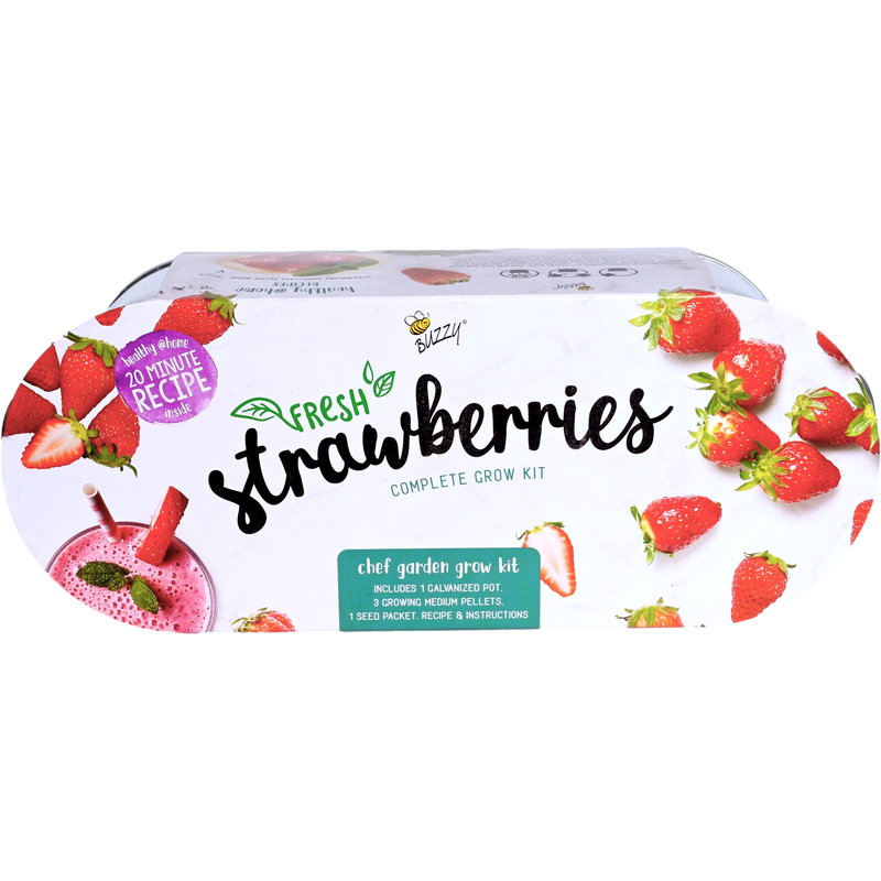 Strawberry Garden Windowsill Grow Kit