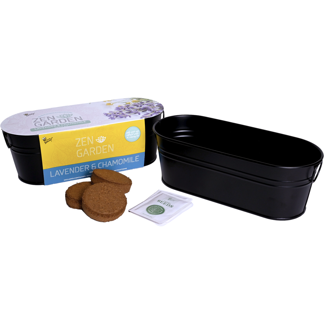 buzzy seeds lavender Lavender & Chamomile Zen Grow Kit for Windowsills – Buzzy Seeds