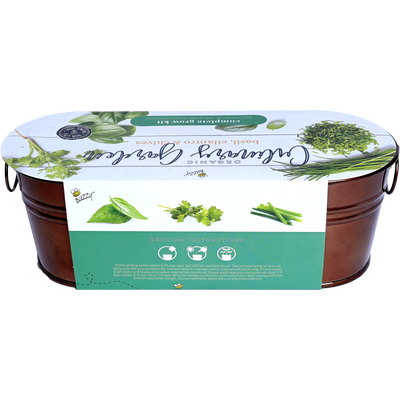 Culinary Garden Windowsill Grow Kit