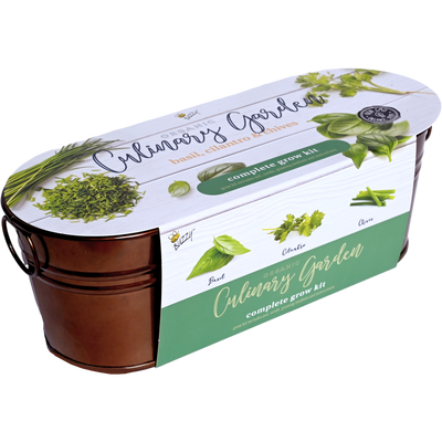 Organic Culinary Garden Windowsill Grow Kit | Basil, Cilantro, & Chives