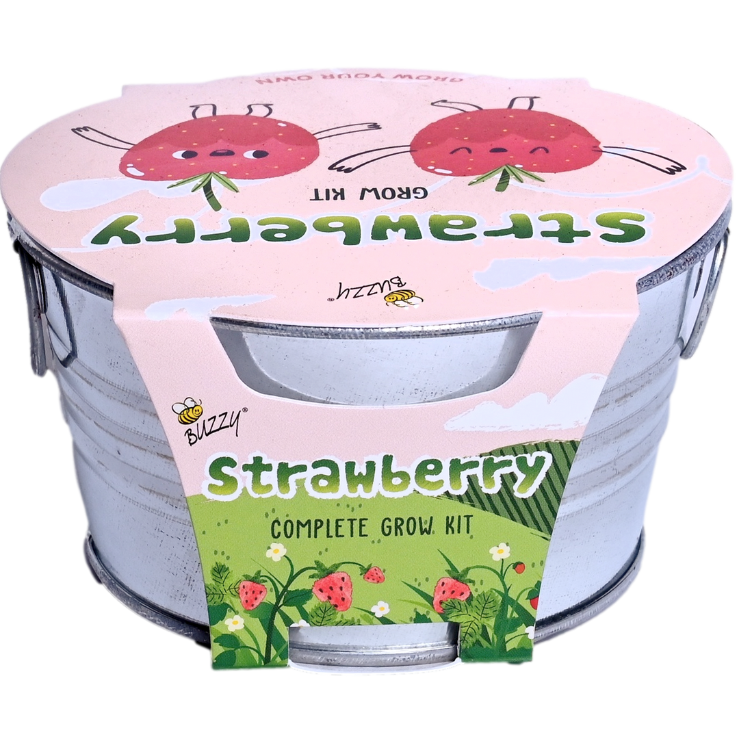 indoor strawberry plant kit Kids Strawberry Grow Kit in Mini Galvanized Basin – Buzzy Seeds