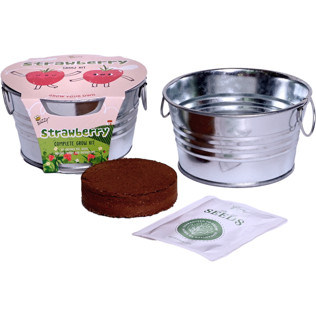 indoor strawberry plant kit Kids Strawberry Grow Kit in Mini Galvanized Basin – Buzzy Seeds