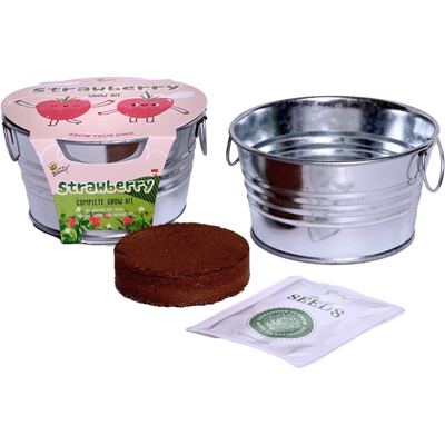 Kids Strawberry Mini Basin Grow Kit | Alpine Strawberry