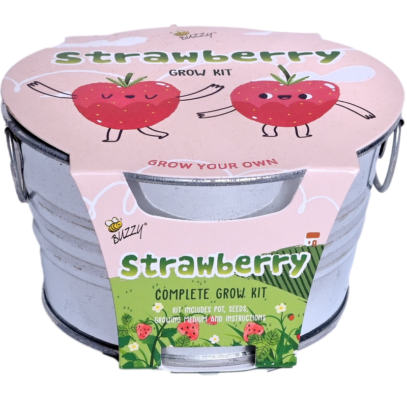 Kids Strawberry Mini Basin Grow Kit | Alpine Strawberry