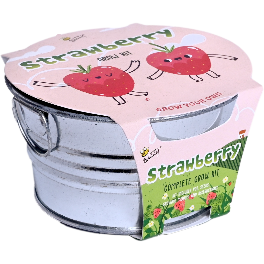 where to buy strawberry mint seeds Kids Strawberry Grow Kit in Mini Galvanized Basin – Buzzy Seeds