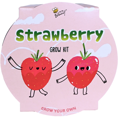 Kids Strawberry Mini Basin Grow Kit | Alpine Strawberry