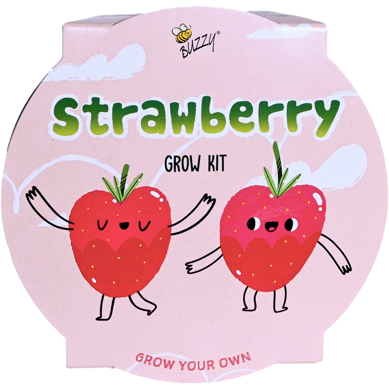 Kids Strawberry Mini Basin Grow Kit | Alpine Strawberry