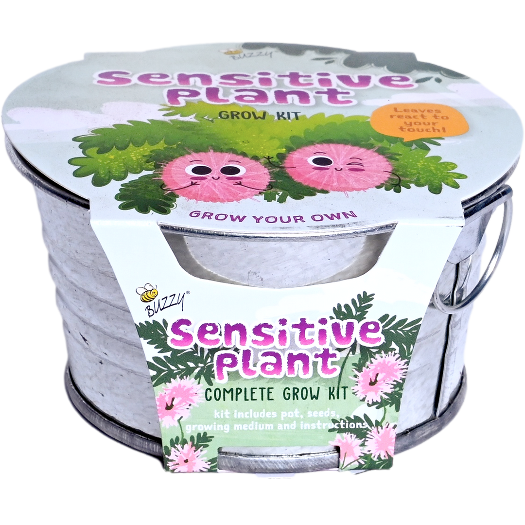 Kids Sensitive Plant Mini Basin Grow Kit
