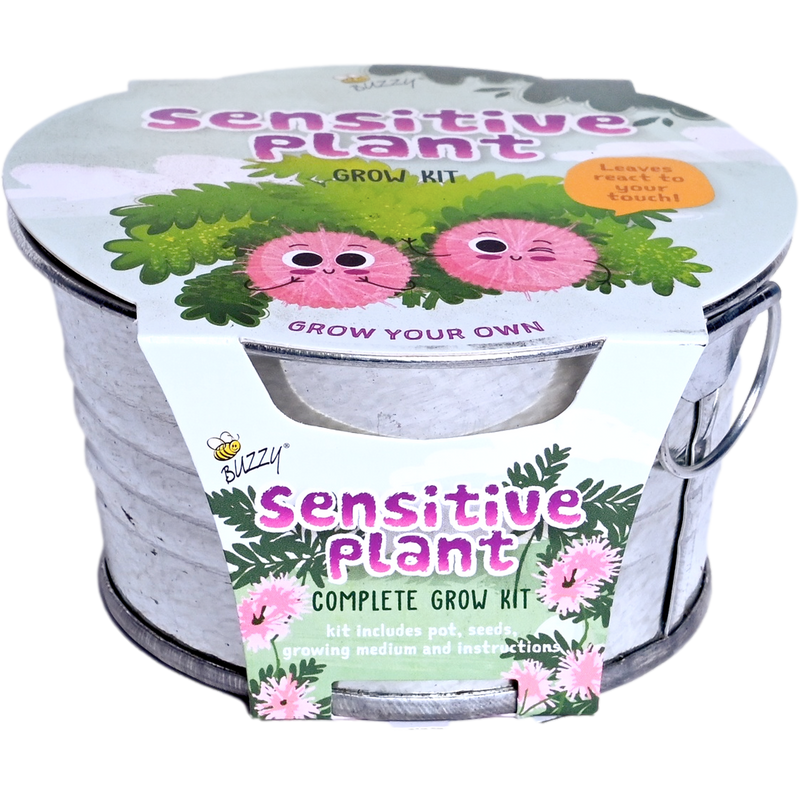 Kids Sensitive Plant Mini Basin Grow Kit